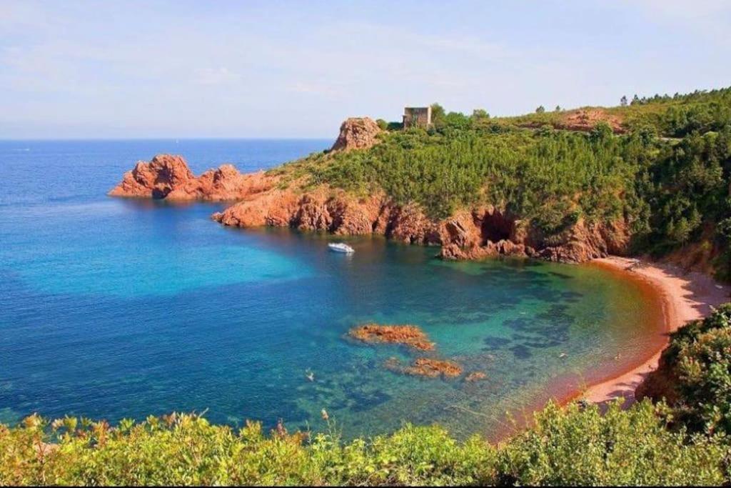 Chaleureux Appartement Face Au Port Sta Lucia, Tout A Pieds, Wifi Saint-Raphaël Eksteriør billede
